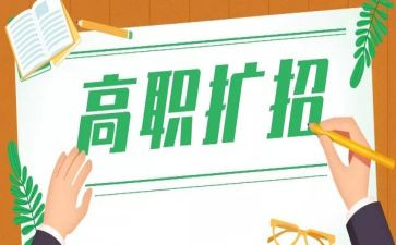 教师高职述职报告5篇