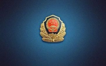 2024公安工作总结最新8篇
