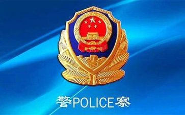 2024公安工作总结5篇