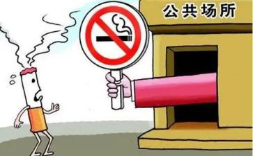 2024年公共卫生个人总结模板8篇