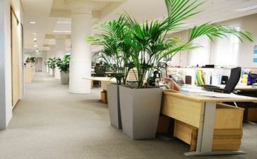 公司月个人总结报告7篇