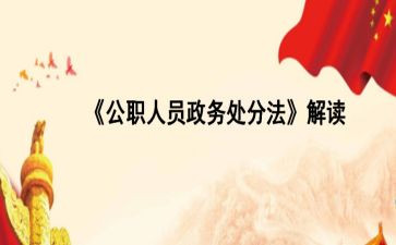 公职律师个人总结8篇