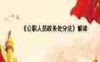 公职律师个人总结8篇