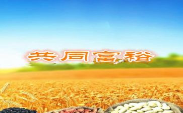 致富能手主要事迹6篇