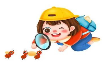 观察红蚂蚁的作文6篇