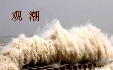 观潮读书心得体会优秀8篇