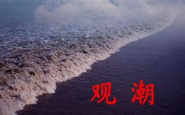 观潮的读后感500字优质8篇