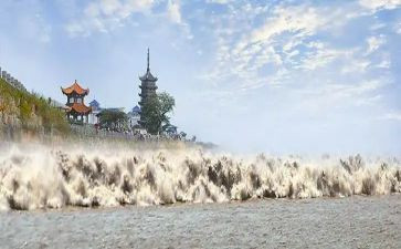 观潮读后感350字优质5篇