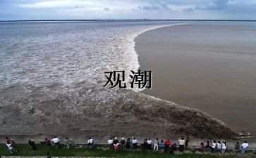 观潮读后感30字6篇