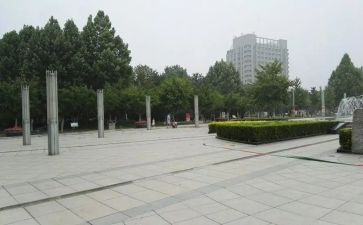 广场的读后感模板7篇
