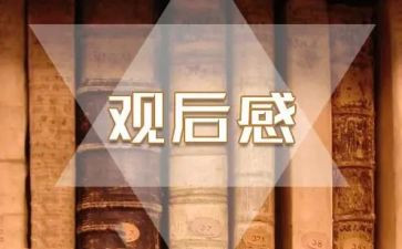 2024年心理健康讲座观后感6篇
