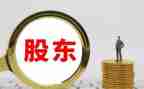 大股东小股东合作合同优质8篇