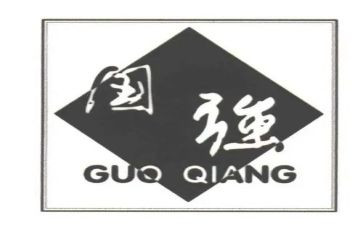 少年则国强作文800作文优秀6篇