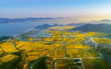 2024国土所工作总结7篇