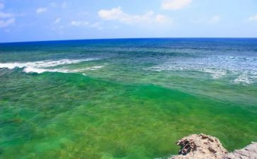 侯沧海读后感8篇