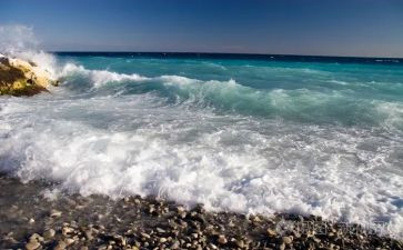海流浪读后感优质5篇