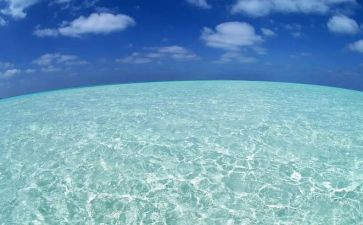 青海读后感5篇