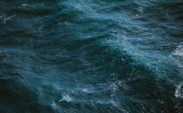 海关年终总结6篇