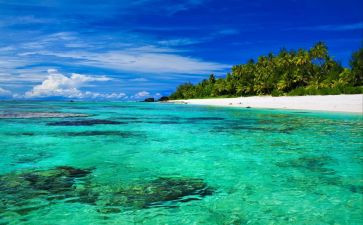 海流浪读后感模板7篇