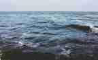 海流浪读后感优秀6篇