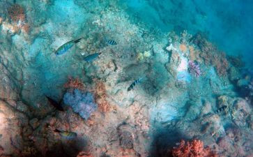 海底两万里读后感读后感八百字6篇