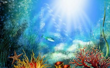 海底两万里读后感读后感优质5篇