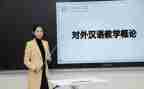 汉语拼音教学反思8篇