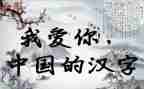 我的汉字情作文5篇