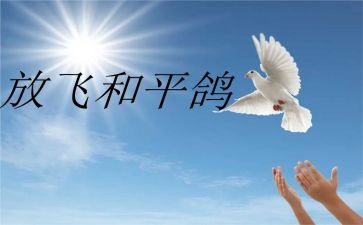 长和平读后感推荐5篇