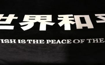 论和平读后感7篇