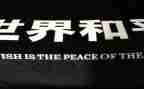论和平读后感7篇