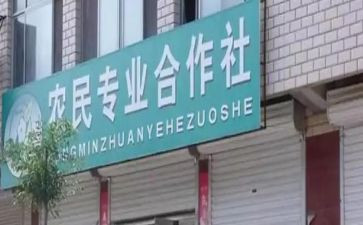 合作社调研报告5篇