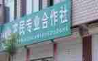 合作社调研报告5篇