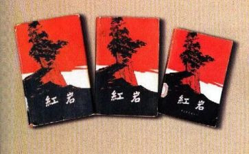写《红岩》的读后感最新5篇