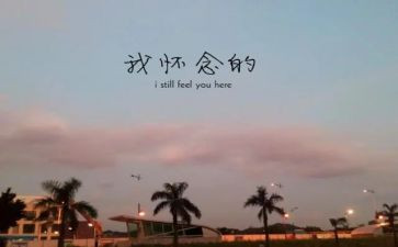怀念母亲季?林读后感5篇