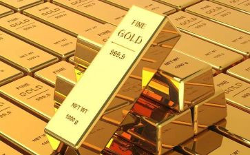 捡黄金活动方案精选5篇