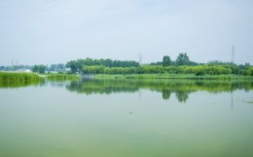 写环境的演讲稿600字7篇