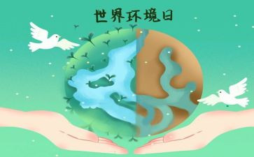 6.5环境日活动工作总结6篇