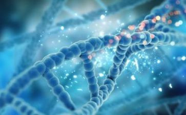 理化生组教研组工作总结模板7篇