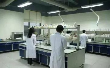 化验室年终总结2022精选8篇