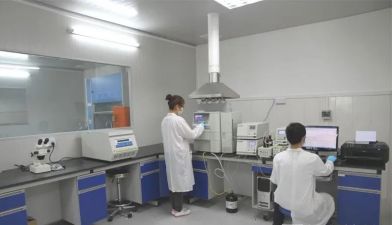 新化验员年终总结6篇