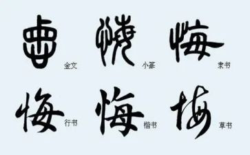 迟来的忏悔观后感7篇