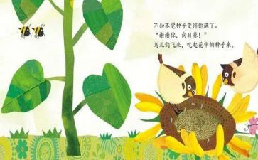 小班绘本《圆》教案5篇