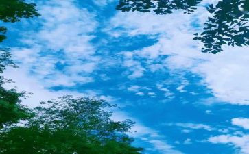 回忆童年作文500字5篇