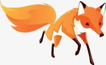 狐狸的舞的读后感模板8篇
