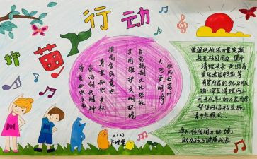 护苗行动的心得体会6篇