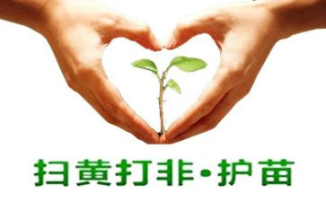护苗的心得体会最新5篇
