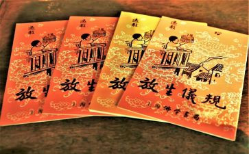 保护生命的作文8篇