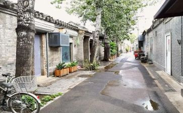 胡同将军的读后感8篇