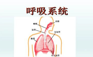2022年呼吸科工作计划5篇